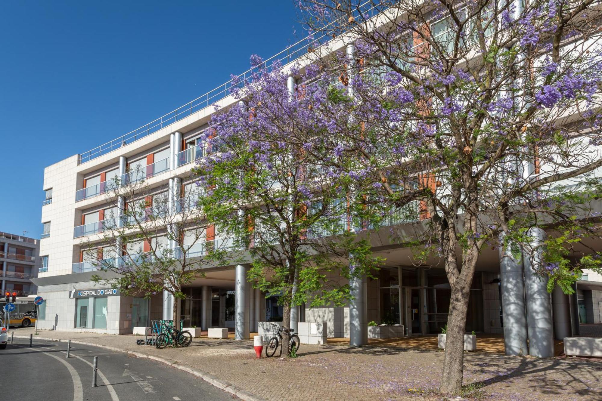 Beguest Premium Lisbon Suites エクステリア 写真